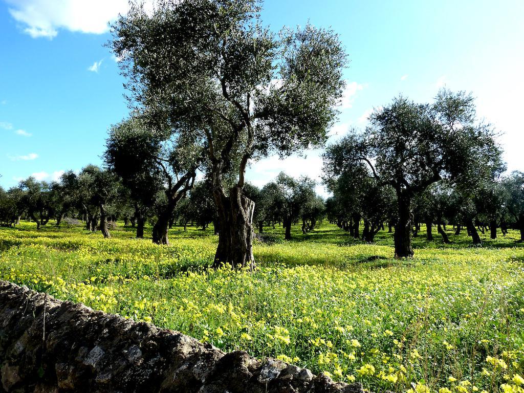 Borgo Degli Ulivi Διαμέρισμα Αλγκέρο Δωμάτιο φωτογραφία